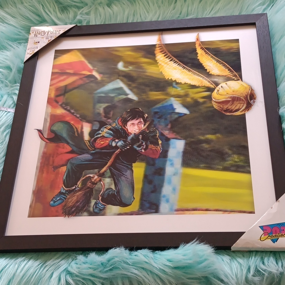 Harry potter frame ,picture flying Harry potter Hologram - Picture 9 of 9
